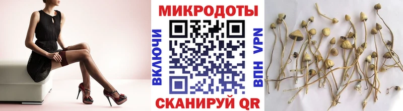 купить закладку  Кола  Псилоцибиновые грибы MAGIC MUSHROOMS 